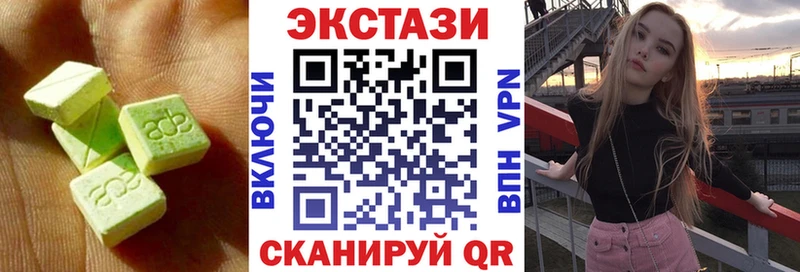 Ecstasy Philipp Plein Бикин